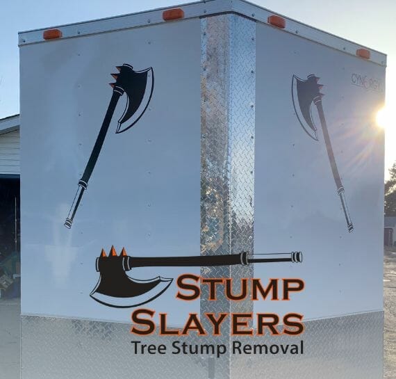 stump removal