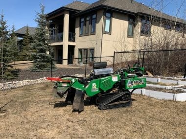 stump removal