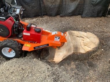 stump removal